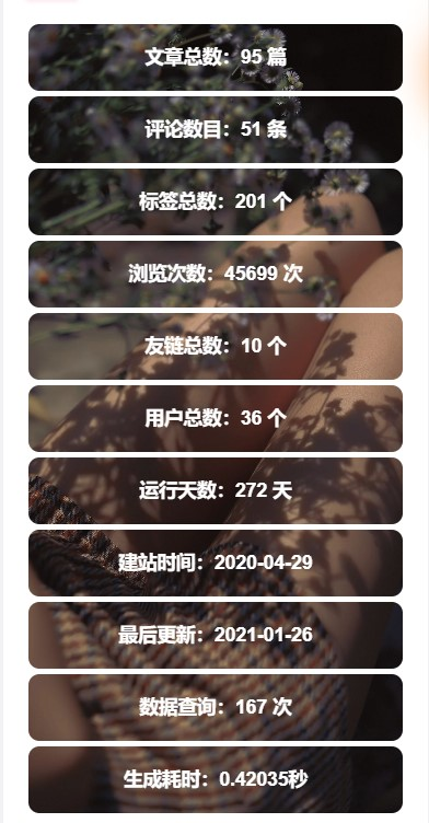 图片[3]-WordPress侧边栏信息统计小工具[WP小工具]-小狐狸资源网-