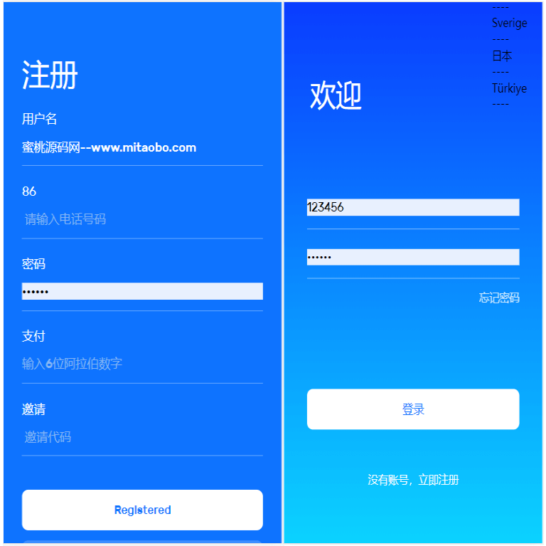 亚马逊抢单源码自动抓取订单任务邀请英文,西班牙语可自动切换语言-小狐狸资源网-