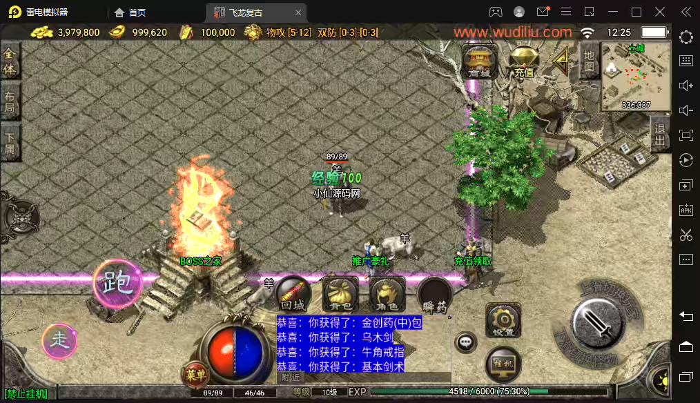 图片[5]-【战神引擎】1.76飞龙复古卧龙套装月卡版[白猪2.0]+视频教程+GM物品充值后台-小狐狸资源网-