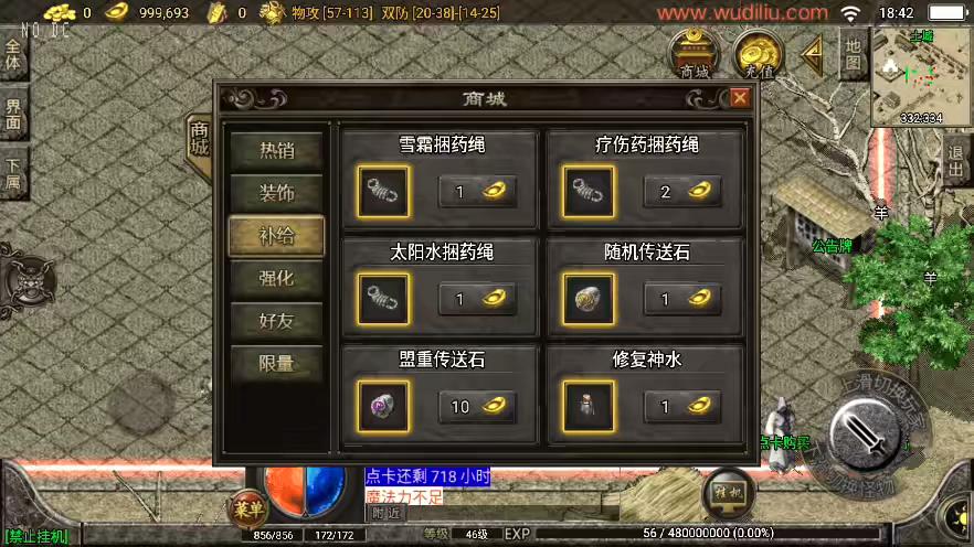 图片[6]-【战神引擎】独家制作-玛法大陆176点卡精力三职业[白猪3]版本+语音视频教程+GM物品充值后台-小狐狸资源网-