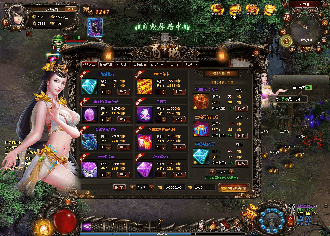 图片[4]-【暗黑修仙】PC单机网页暗黑暗黑-鸿灵飞仙WIN一键端版本+网页充值+语音视频教程-小狐狸资源网-